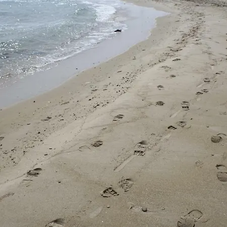 Salento Casa vacanze *